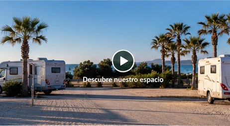 Autocaravanas entre palmeras junto al mar